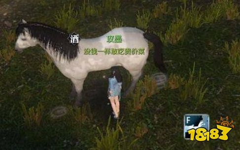 逆水寒怎么抓坐骑 驯服坐骑方法介绍