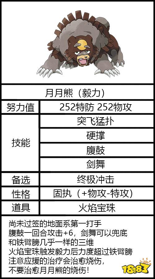 《寶可夢朱/紫》太晶團體戰培育與打法攻略一覽