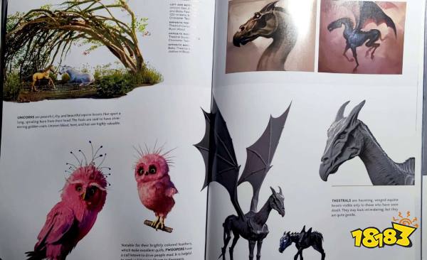 《霍格沃茨之遗》曝光主线时长35小时 地图和场景设定集泄露