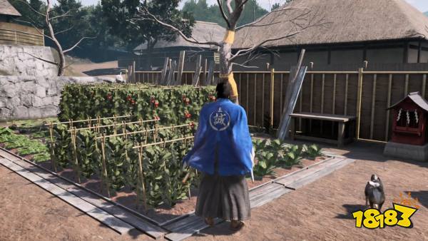 《如龙：维新极》最新实机演示 另一种生活概述预告