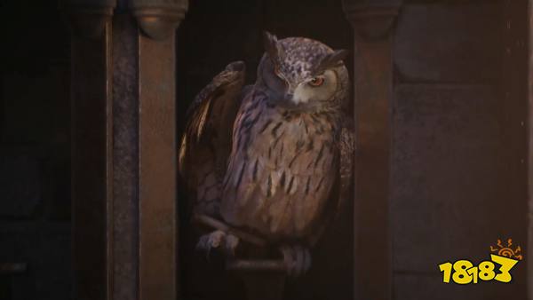 《霍格沃茨之遗》新预告发布 猫头鹰鸟瞰城堡场地