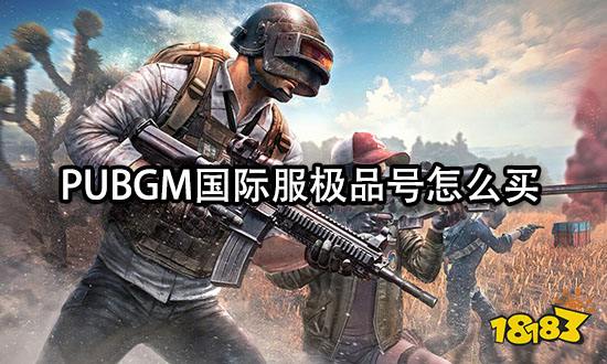 PUBGM国际服极品号怎么买 正规购号渠道分享