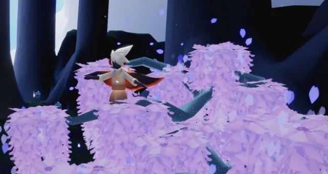 光遇2023国服花憩节什么时候开始 国服花憩节活动内容一览