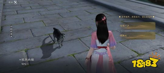 天刀手游猫之友怎么完成 猫之友奇遇攻略