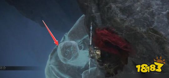 艾尔登法环祭坛南方乌龟在哪 祭坛南方乌龟位置路线