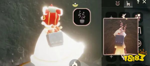 光遇追忆季花盆怎么换 追忆季花盆兑换攻略