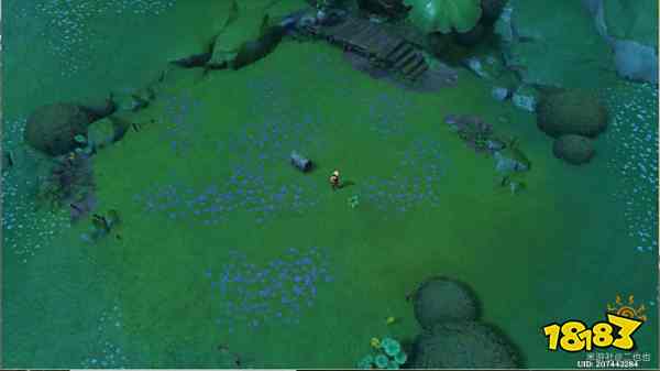 原神12处野外苗圃任务怎么做 12个恒斯弥利底获取攻略