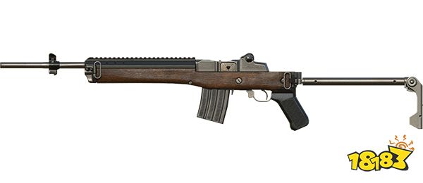 和平精英射手步枪有哪些 射手步枪详情一览