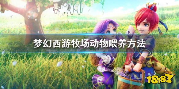 梦幻西游牧场动物怎么喂养 梦幻西游牧场动物喂养方法