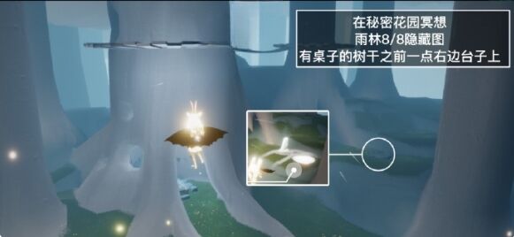 光遇2.3秘密花园冥想任务怎么做 秘密花园冥想点位置一览