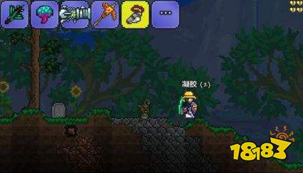 泰拉瑞亚宠物有哪些作用 宠物详细作用功能一览