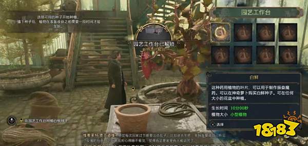 霍格沃茨遗产草药学课程怎么过 草药学课程任务攻略