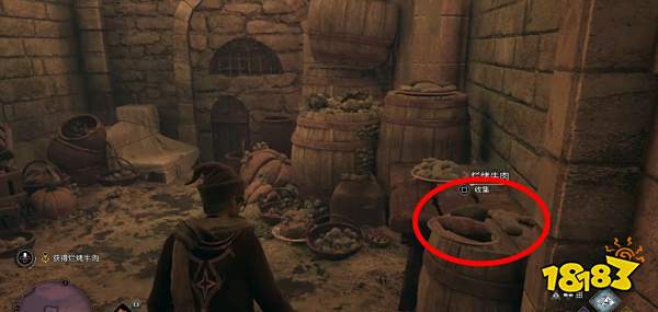 霍格沃茨遗产寻找遗失的书页任务怎么过 寻找遗失的书页任务攻略