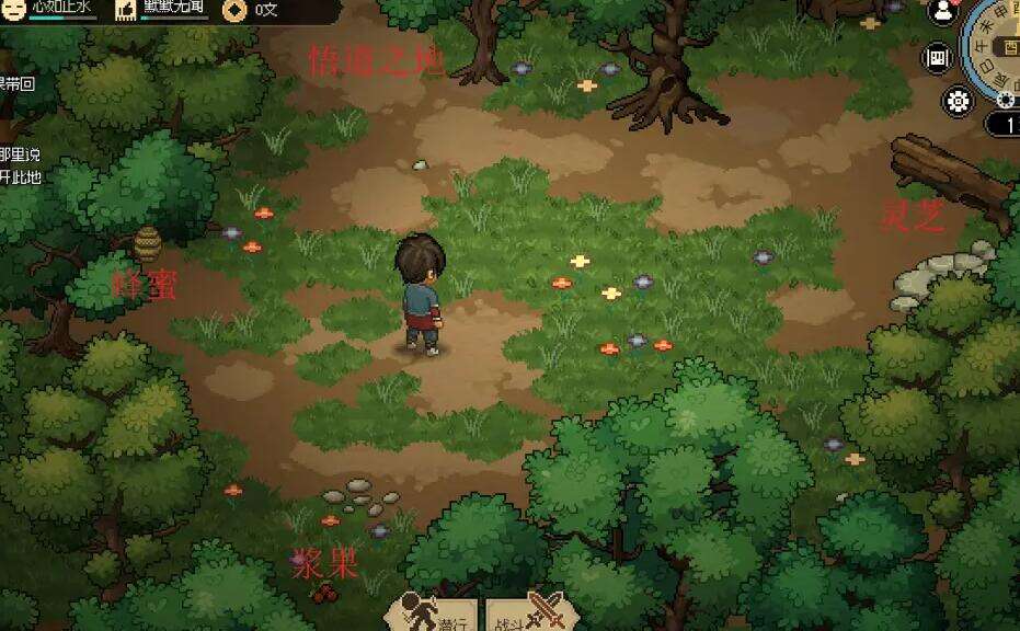 大侠立志传迷踪林怎么过 迷踪林收集攻略