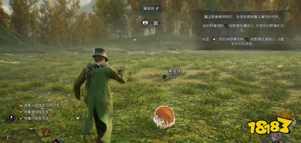 霍格沃茨遗产小精灵拿袋与织布机怎么过 小精灵拿袋与织布机攻略