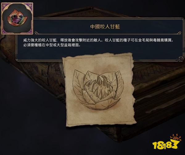 霍格沃茨遗产药草学怎么玩 药草学流派玩法天赋推荐