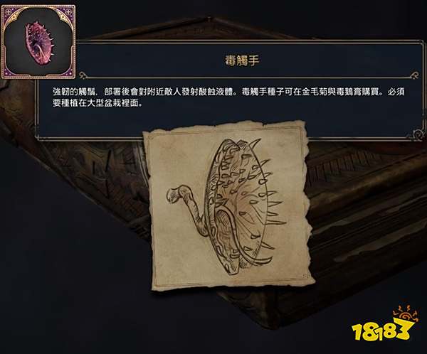 霍格沃茨遗产药草学怎么玩 药草学流派玩法天赋推荐