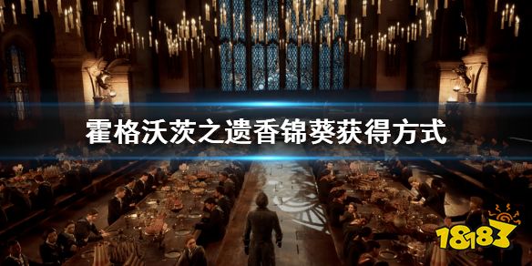 霍格沃茨遗迹香锦葵怎么获得 香锦葵获得方式