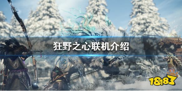 狂野之心能联机玩吗 联机介绍