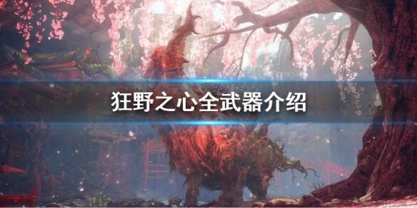 狂野之心全武器怎么使用 狂野之心全武器介绍