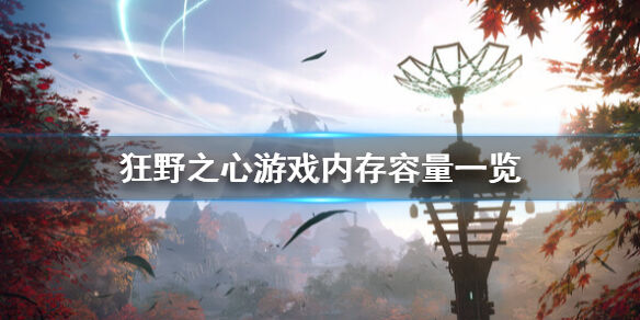 狂野之心多少G 游戏内存容量一览