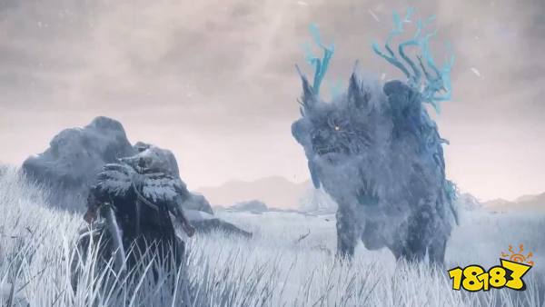 光荣社长·EA开发者访谈 关于《狂野之心》游戏部分情报