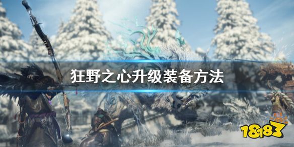 狂野之心怎么升级装备 升级装备方法