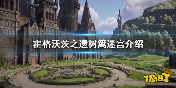 霍格沃茨遗迹树篱迷宫是什么 霍格沃茨之遗树篱迷宫介绍