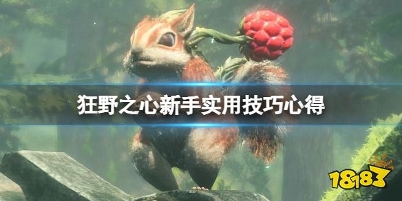 狂野之心新手怎么玩 狂野之心新手实用技巧心得