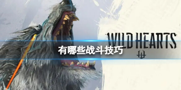狂野之心有哪些战斗技巧 实用战斗技巧一览
