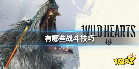 狂野之心有哪些战斗技巧 实用战斗技巧一览