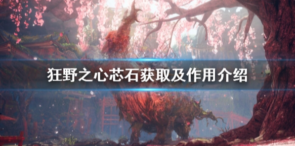 狂野之心芯石怎么获得 芯石获取及作用介绍