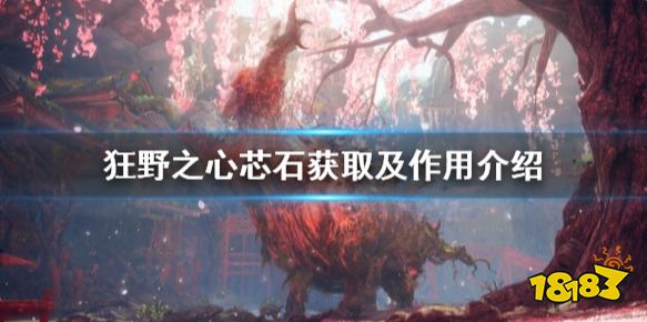 狂野之心芯石怎么获得 芯石获取及作用介绍