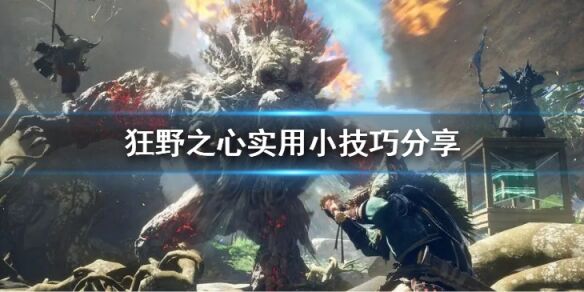 狂野之心实用小技巧都有什么 实用小技巧分享