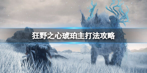 狂野之心琥珀主在哪 琥珀主打法攻略