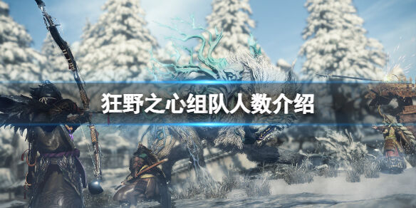 狂野之心可以几人组队 组队人数介绍