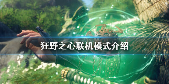 狂野之心可以几人组队 联机模式介绍