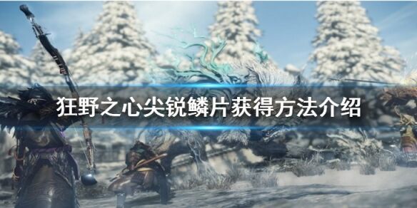 狂野之心尖锐鳞片在哪 尖锐鳞片获得方法介绍