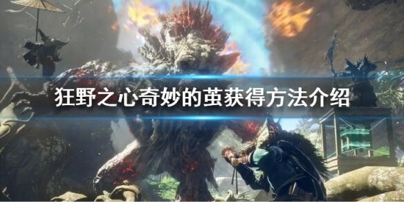 狂野之心奇妙的茧在哪 奇妙的茧获得方法介绍