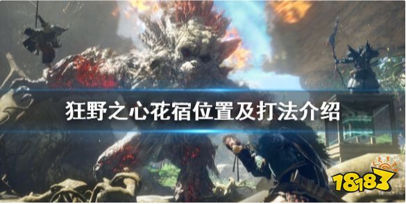 狂野之心花宿在哪 花宿位置及打法介绍