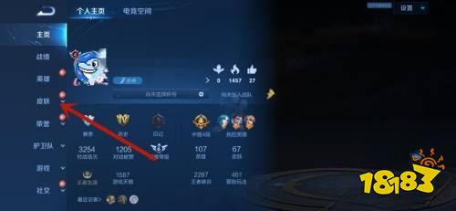 王者荣耀皮肤怎么展示 皮肤展示攻略