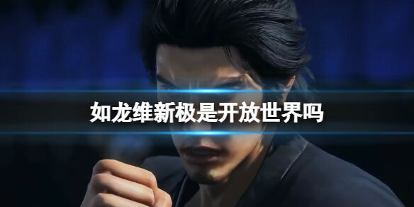 如龙维新极是开放世界吗 是回合制吗