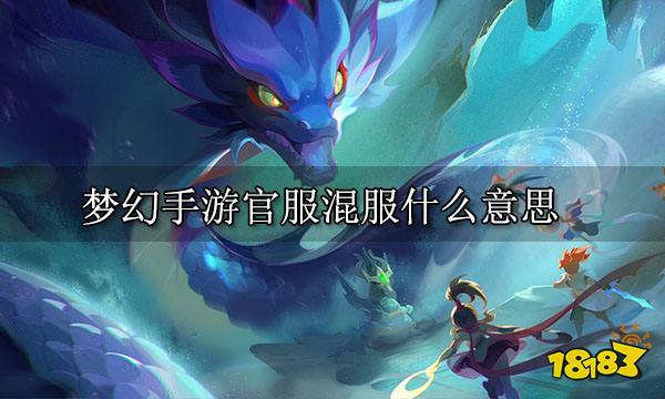 梦幻手游官服混服什么意思 官网混服区别一览