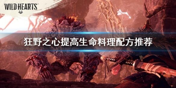 狂野之心提高生命的料理配方都有什么 提高生命料理配方推荐