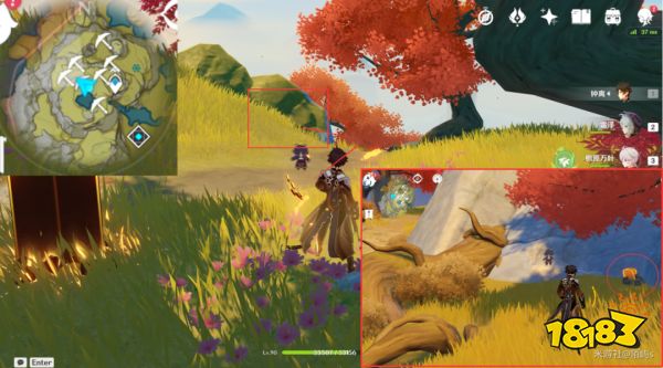 原神石珀采集地点分布图 石珀采集位置路线图大全