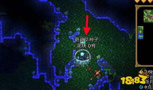 泰拉瑞亚怎么邀请亚蘑菇人入住 亚蘑菇人成功入住条件一览