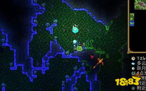 泰拉瑞亚怎么邀请亚蘑菇人入住 亚蘑菇人成功入住条件一览