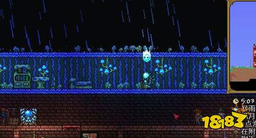 泰拉瑞亚怎么邀请亚蘑菇人入住 亚蘑菇人成功入住条件一览