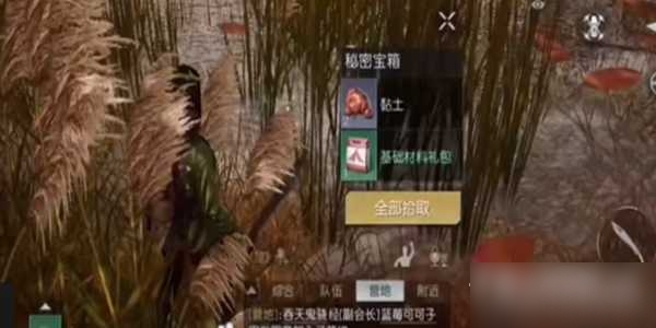 黎明觉醒湖心岛宝箱位置在哪里 湖心岛宝箱位置分享