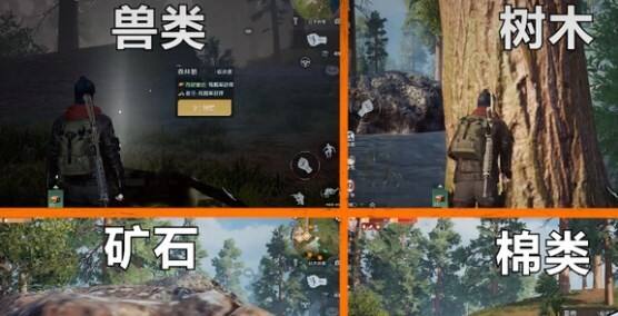 黎明觉醒怎么快速采集 高效快速采集方法分享